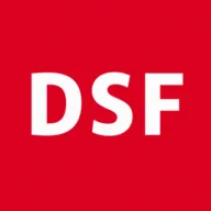 DS Factoring logo
