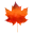 Orange Tree Academy logo