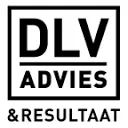 DLV Advies logo