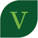 Village Sensation logo