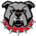 Spike STINGER logo