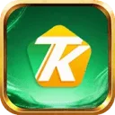 Q13 logo