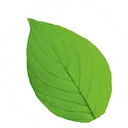 Leaf Bloemen logo