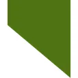 Woonstichting 'thuis logo