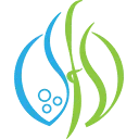 Seaweed Food Solutions logo