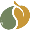 Healing Space logo