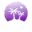 Mi Amor NL logo