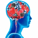 Body and Brains Produce logo
