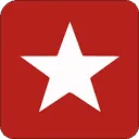 Bourgini logo