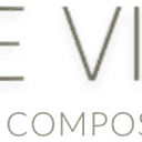 Stone Visions logo