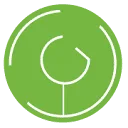 Gin Fling logo