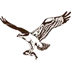 Osprey Group logo