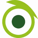 BirdsEye CostReport™ logo
