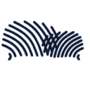 De Taaltrainer logo