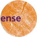 Essense Training en Advies logo