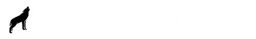THE FLOW PACK logo