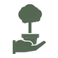 Kadoboompje.nl logo