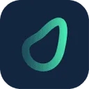 Travel Flow logo