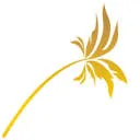 Flowers and More Papendrecht logo