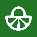 FeedbackFruits logo
