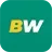 Betwinner logo