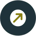 Profit Mode logo