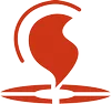 VST Fire Solutions logo