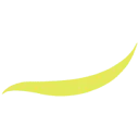 Vianen Flowers logo