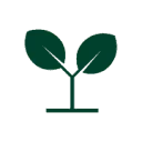 Steenbreek logo