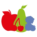 FRUITVOORUIT.NL logo