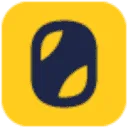 Orka Synthetics BV logo