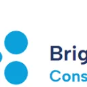 Bright Impact Consulting logo