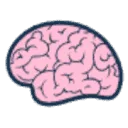CodeBrain BV logo