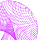 DN PATTERN logo