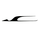 Silverwing Aeronautics logo