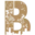 Briggs logo