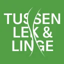 Leerdamglasstad.nl logo