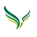 AcademicVision logo
