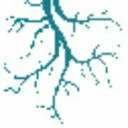 Rhizosphere Research Products logo