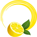 Finance Solutions logo