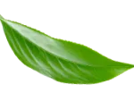 my green packaging logo