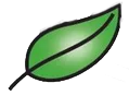 Storm Students Consultancy logo