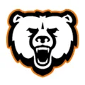 Bear Attachments logo