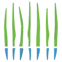Bright Water Company logo