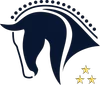 CSI Eindhoven logo