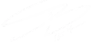 New State Ventures logo