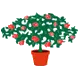 Kwekerij Souman logo