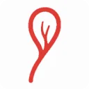 TS Vascular logo
