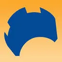 Camelot Accountancy logo