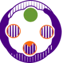 Social Climate Tech logo